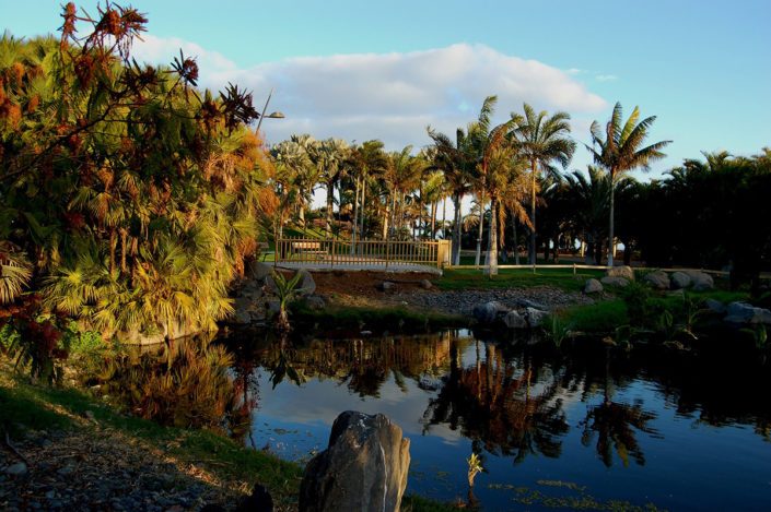 Lago del Palmetum – Santa Cruz de Tenerife
