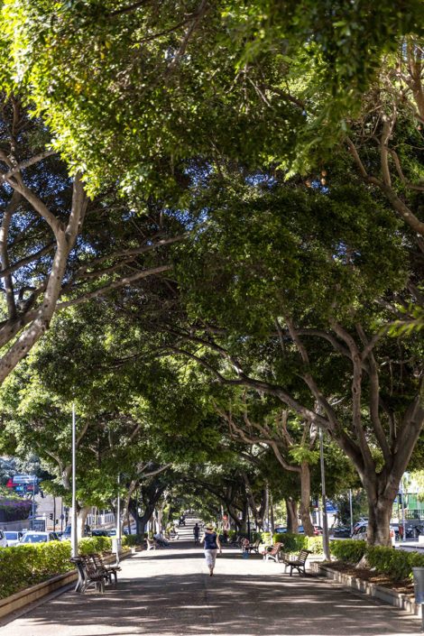 Las Ramblas – Santa Cruz de Tenerife