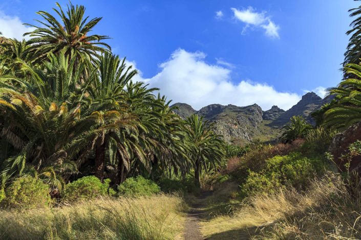 San Andrés y Taganana – sendero – Santa Cruz de Tenerife