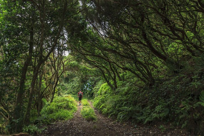 San Andrés y Taganana – sendero – Santa Cruz de Tenerife
